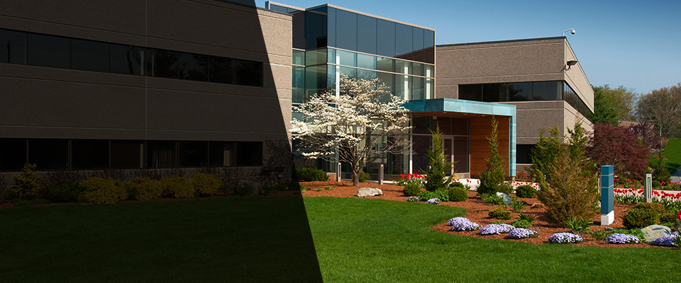 Ridgeley Landscapers