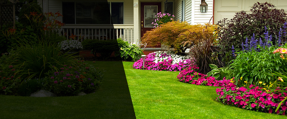 Ridgeley Landscapers