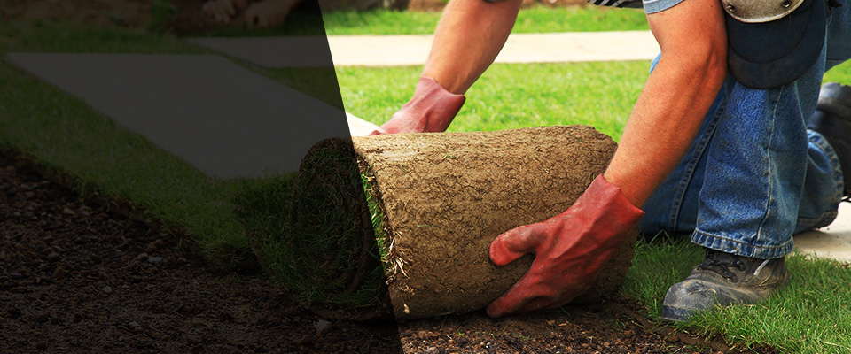 Ridgeley Landscapers